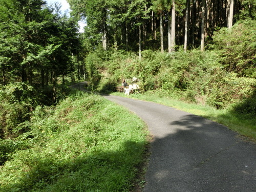 CIMG0081