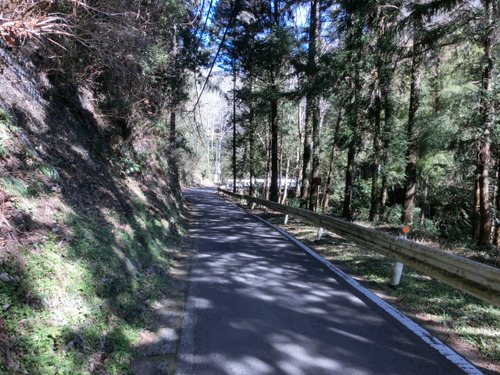 CIMG0381