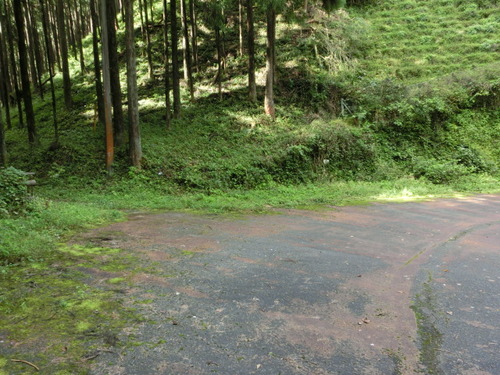 CIMG0099