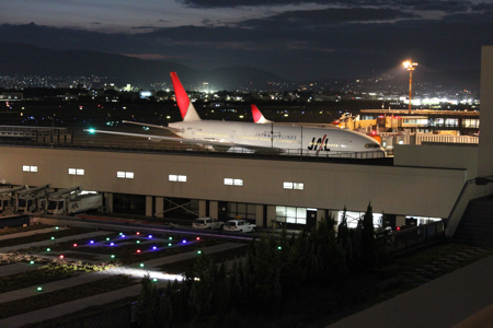 ���JAL������