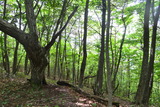 20110604mitou (25)