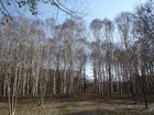 P4280045_385