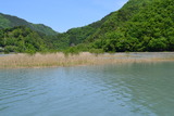 1105早川 (55)