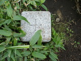 nanasigure033