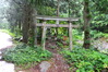 niigata2 (11)