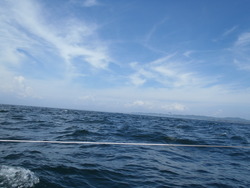 P8060022