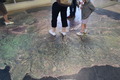 20150503B (43)