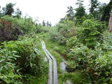 20110823 (3)