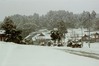 200401_10025 (3)