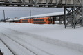 1301tsugaru (218)