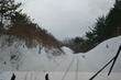 1301tsugaru (351)