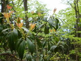 20100515 (15)