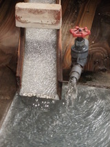 nanasigure094
