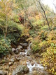2011nasu (37)