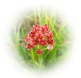 P8210044