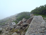 20110822 (12)