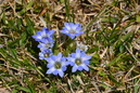 20130503 (5)