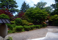 niigata3 (14)