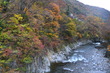 121110_11yubiso (438)