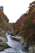 121110_11yubiso (348)