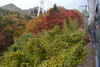 121110yubio (23)
