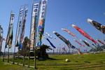 20130505 (40)