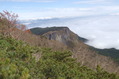 201610八 (136)