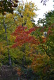 20111009 (143)