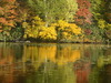 20111009 (107)