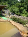 yokoya (4)