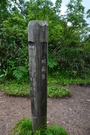 iide1 (17)