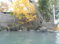 2011nasu (93)