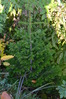 20111009 (17)
