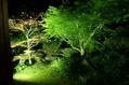 20160504 (486)
