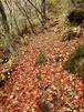 2011nasu (32)