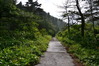 niigata2 (10)