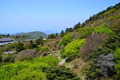 20130505 (24)