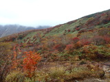 2011nasu (63)
