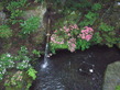 20130615_173703_29
