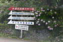 iwama (71)