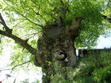 20100515 (3)