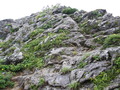 iide2 (21)