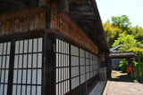 1105早川 (2)