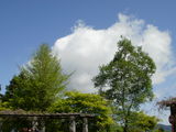 20100515 (1)