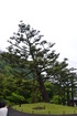 20150503B (72)