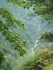 P8110056