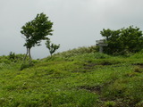 nanasigure027