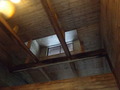 niigata2 (101)