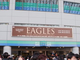 P3050065