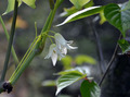20130505 (11)